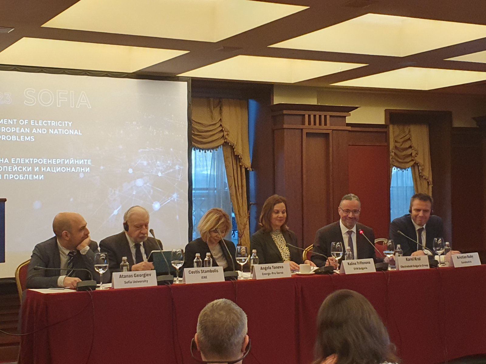 The development of electricity grids and regional trends was the theme of the latest EMI Round Table in Sofia- IENE Participation