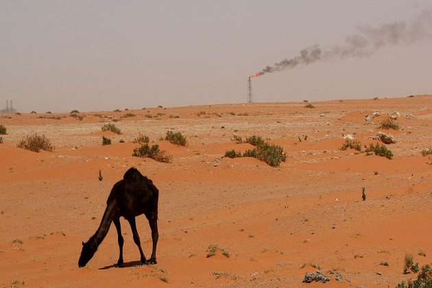 OPEC's Fight Club