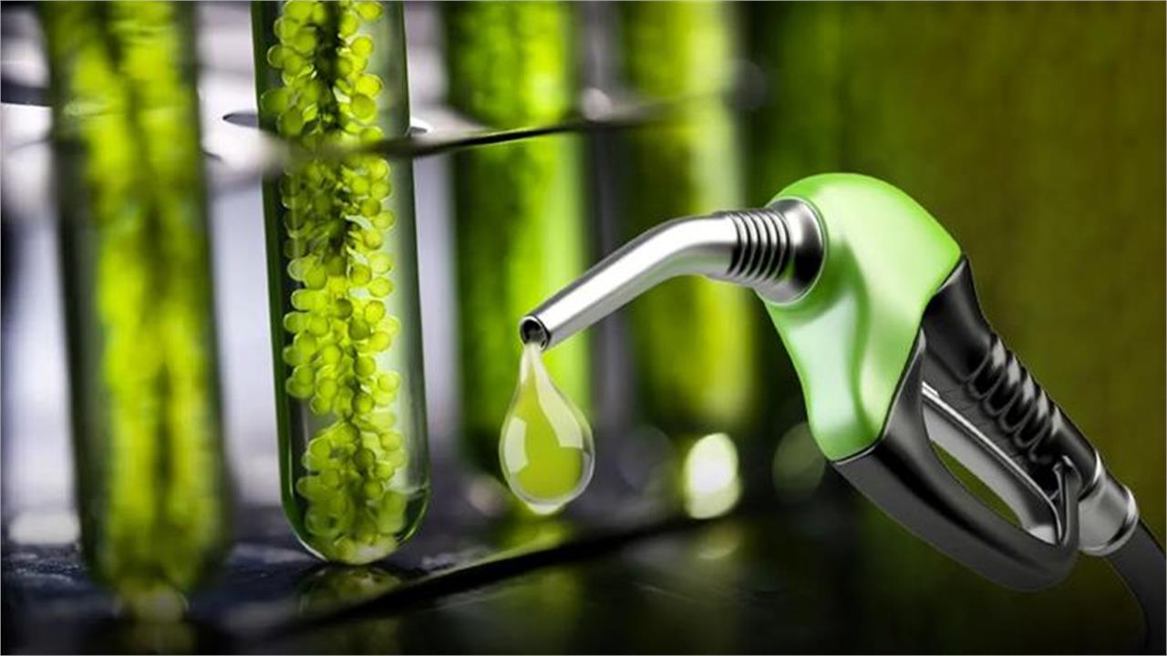 Insa Oil Building Bulgaria’s First Bioethanol Plant