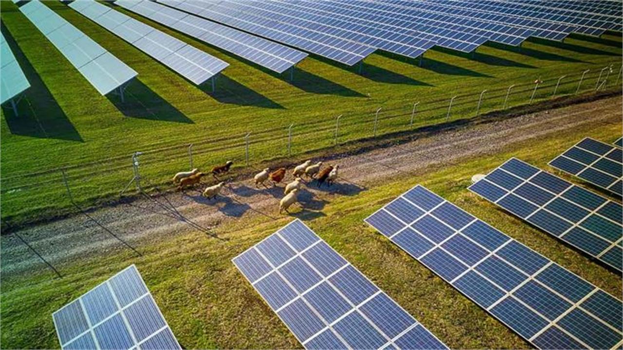 Businesses in Bulgaria Pay Up to 90 Times Higher Environmental Product Fees for Solar Panels, Batteries than Other EU Countries