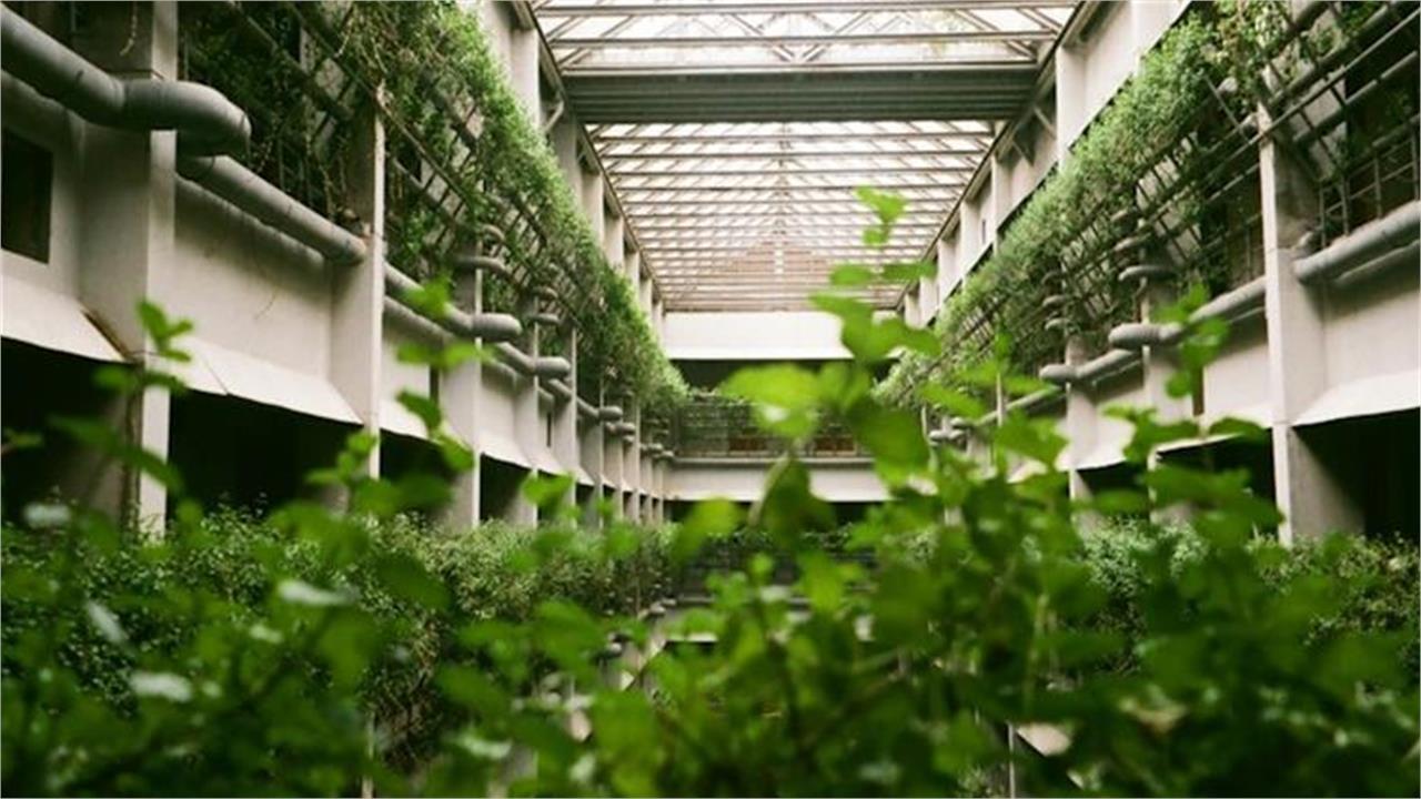 Turkey to Set Up Geothermal Greenhouses in Manisa Totaling 200 Hectares