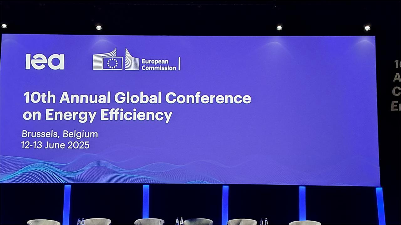Participation of the General Secretary of IENE Mr. Costas Theofylaktos at the Annual IEA Conference on Energy Efficiency