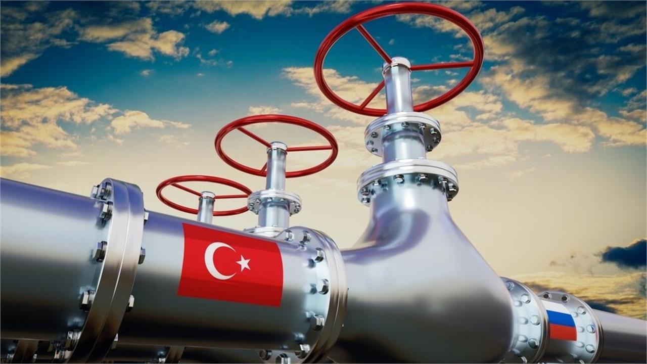 Italy's Eni Delivered Russian Gas to Turkey Last Year, Document Shows