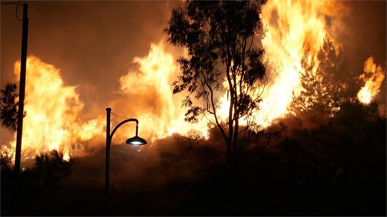 How Greece’s Neglected Power Grid Fuels Wildfire Destruction 