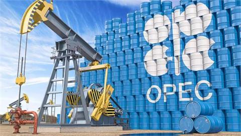 OPEC Crude Oil Production up by 220,000 Barrels per Day in June 2025