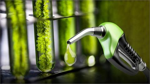 Insa Oil Building Bulgaria’s First Bioethanol Plant