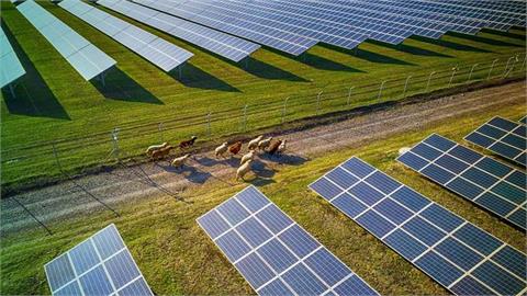 Businesses in Bulgaria Pay Up to 90 Times Higher Environmental Product Fees for Solar Panels, Batteries than Other EU Countries