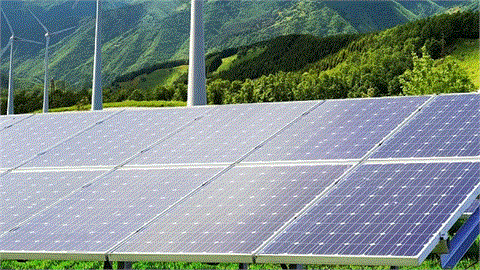 India's Assam State Scraps Clean Energy Policy, Threatening Renewable Investment