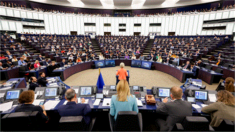 Latest IENE Analysis Focuses on the EU and the Difficult to Explain Policy Inconsistency