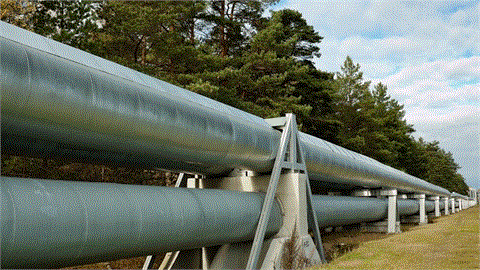 Caspian Pipeline Consortium Completes Cleanup Operation After Accident, Spill