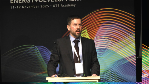 IEA Presented Policies and Analysis for the 2025 World Energy Outlook Scenarios at IENE’s Annual Conference